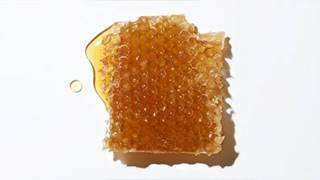 מרכיבים עיקריים דבש מאנוקה