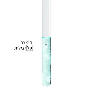 פרוטאינים על בסיס צמחי